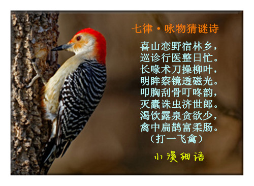 892216f2e841df799f9563e6315b6690_����.jpg